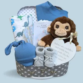 Baby Boy Gift Hamper - Hello Little Monkey