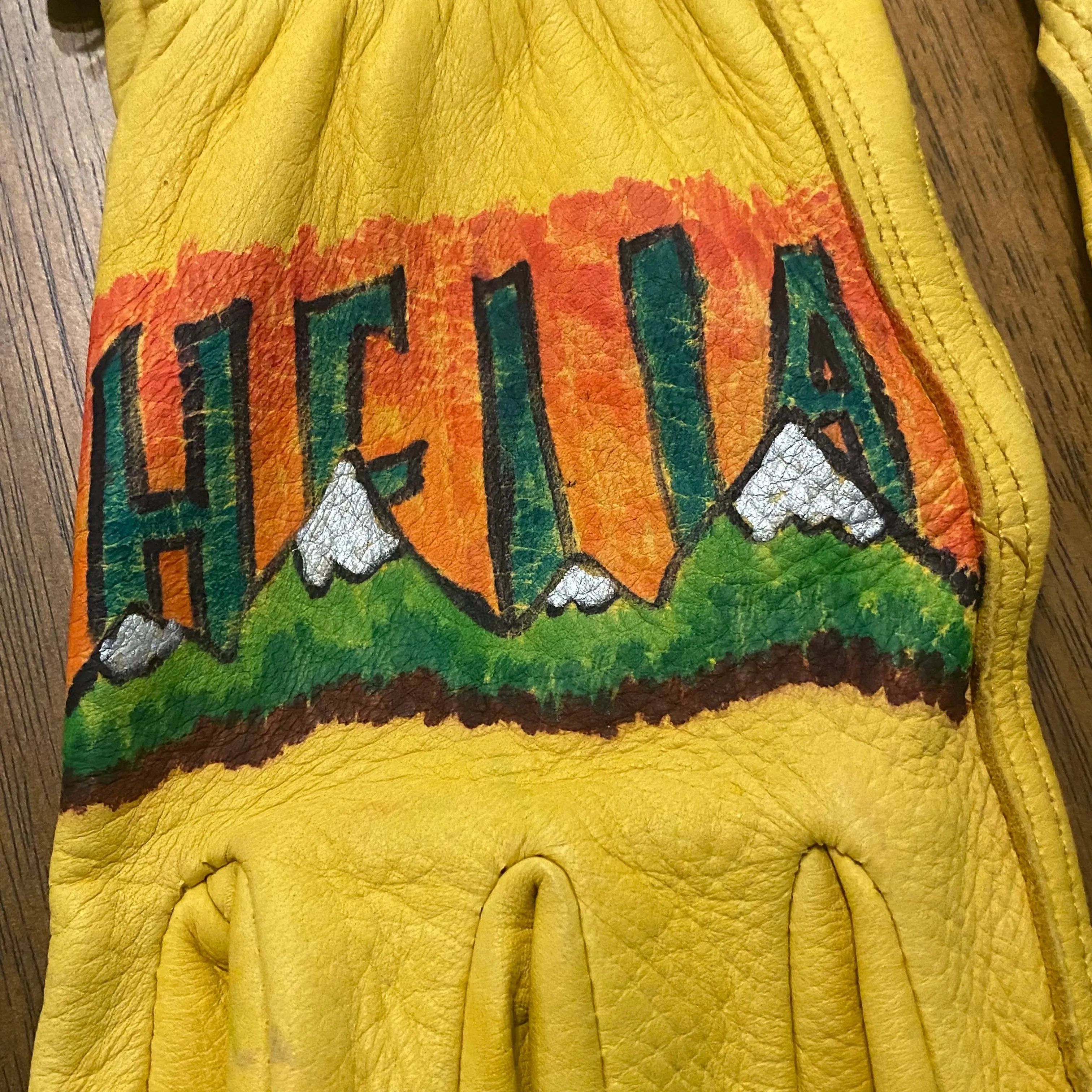 Barry Wicks Hella Sweet Hand Painted Gloves