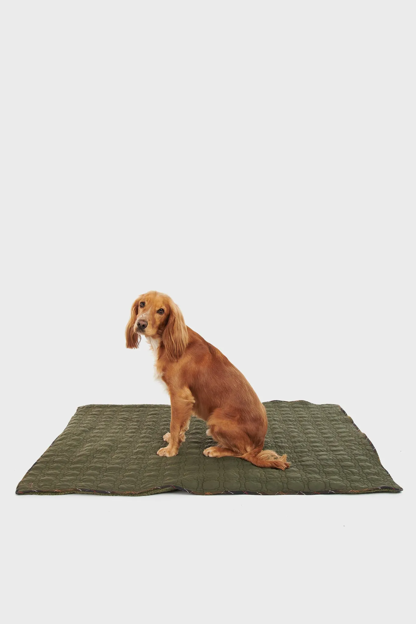 Dark Olive Dog Bone Quilted Blanket