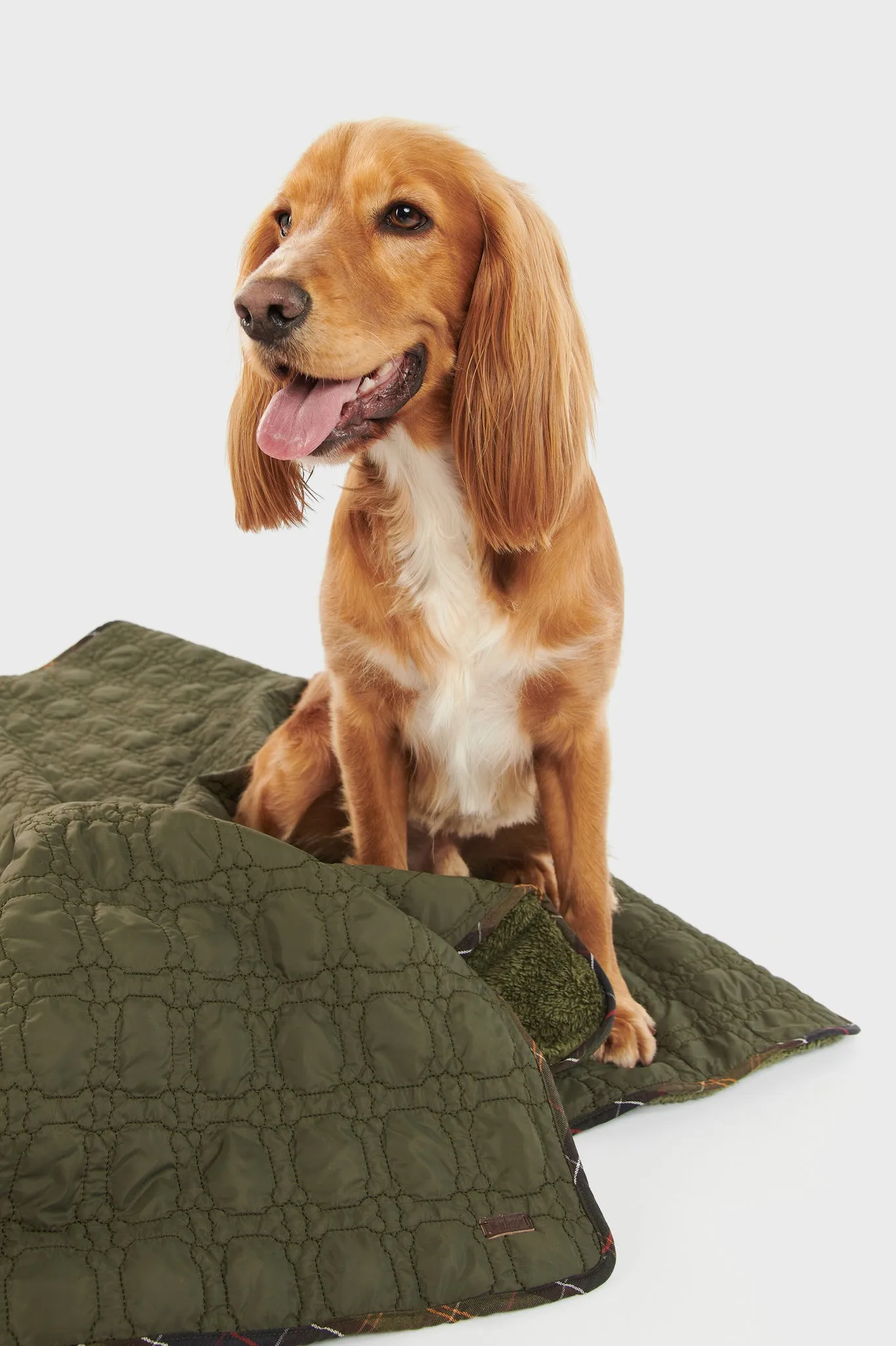 Dark Olive Dog Bone Quilted Blanket