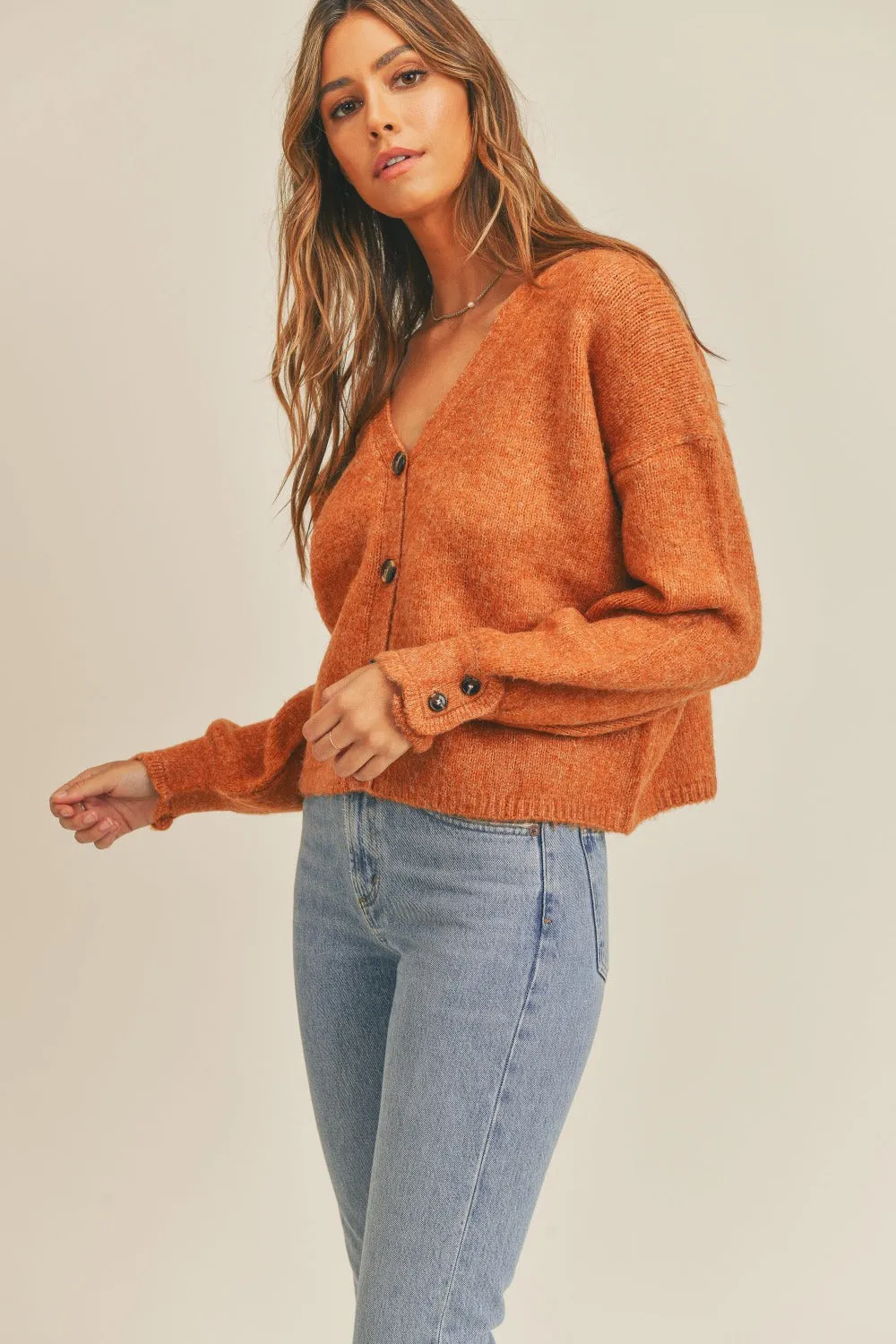 Golden Hour Sweater Cardigan in Rust