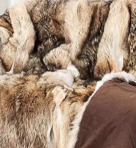 Luxury Lodge Style Coyote Throw Full Skins 50'x 60' with Ultra-suede backing