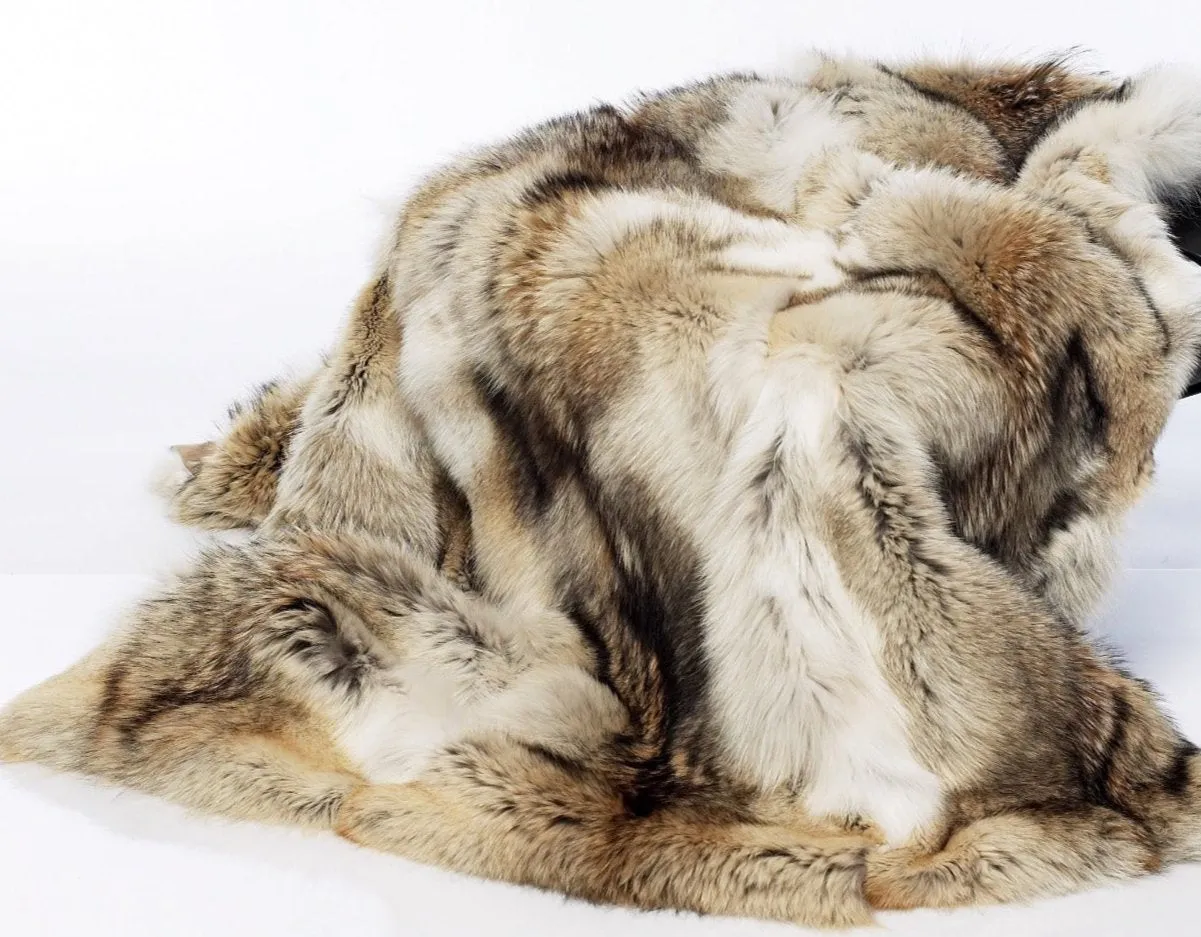 Luxury Lodge Style Coyote Throw Full Skins 50'x 60' with Ultra-suede backing